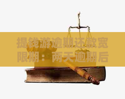 提钱游逾期还款宽限期：两天逾期后是否还能再次借款？