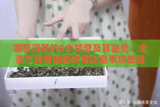 喝普洱茶的5大禁忌及其益处：全面了解普洱茶饮用注意事项及健好处