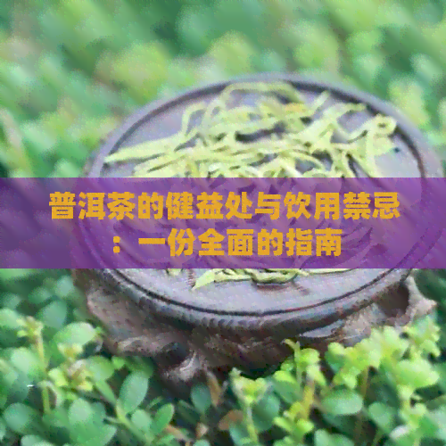 普洱茶的健益处与饮用禁忌：一份全面的指南