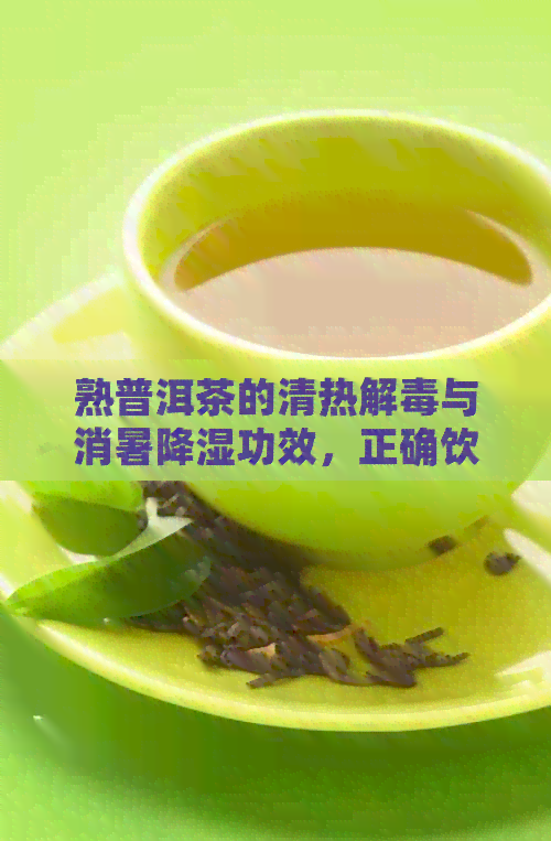 熟普洱茶的清热解与消暑降湿功效，正确饮用方法一应俱全！