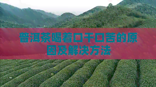 普洱茶喝着口干口苦的原因及解决方法