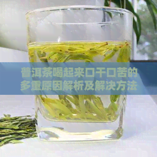 普洱茶喝起来口干口苦的多重原因解析及解决方法