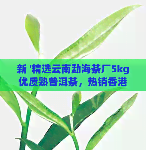 新 '精选云南勐海茶厂5kg优质熟普洱茶，热销市场'