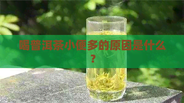 喝普洱茶小便多的原因是什么？