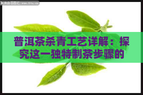 普洱茶杀青工艺详解：探究这一独特制茶步骤的意义与价值