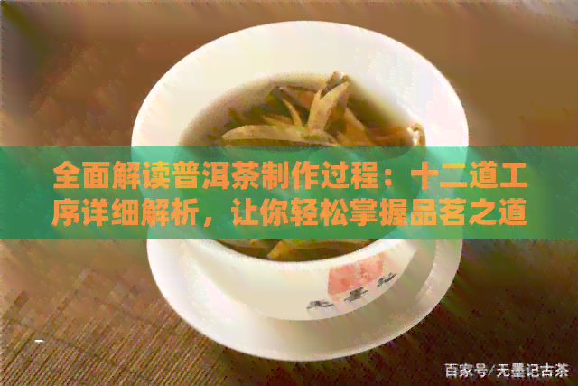 全面解读普洱茶制作过程：十二道工序详细解析，让你轻松掌握品茗之道