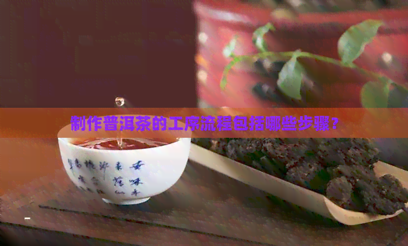 制作普洱茶的工序流程包括哪些步骤？