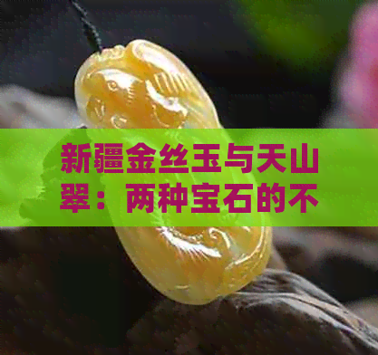 新疆金丝玉与天山翠：两种宝石的不同之处