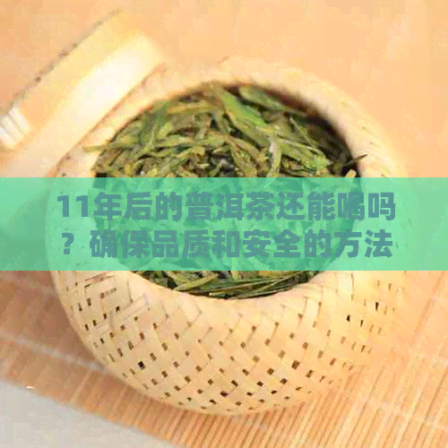 11年后的普洱茶还能喝吗？确保品质和安全的方法解析