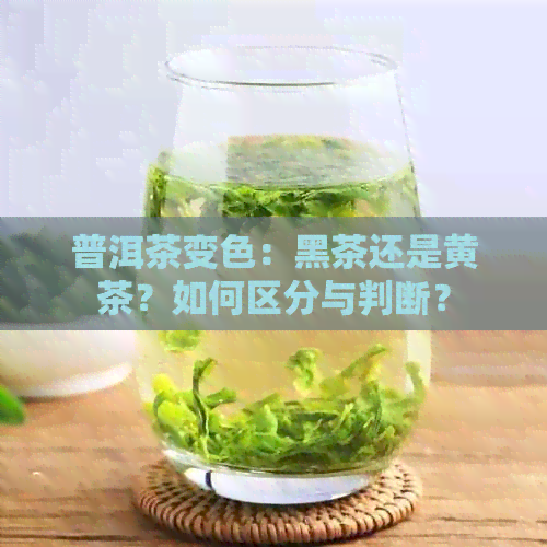 普洱茶变色：黑茶还是黄茶？如何区分与判断？