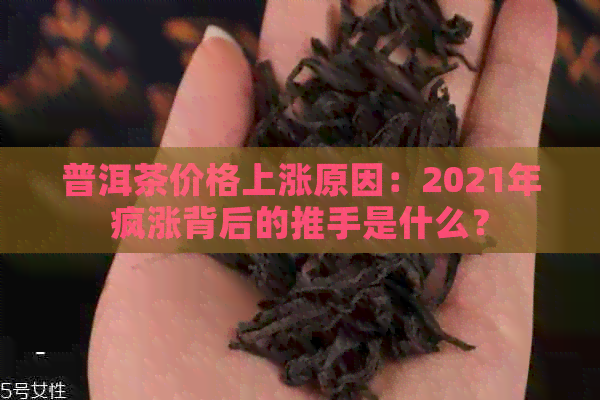 普洱茶价格上涨原因：2021年疯涨背后的推手是什么？