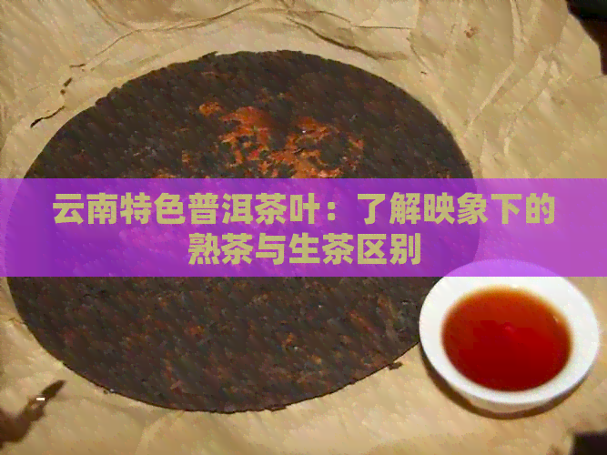 云南特色普洱茶叶：了解映象下的熟茶与生茶区别