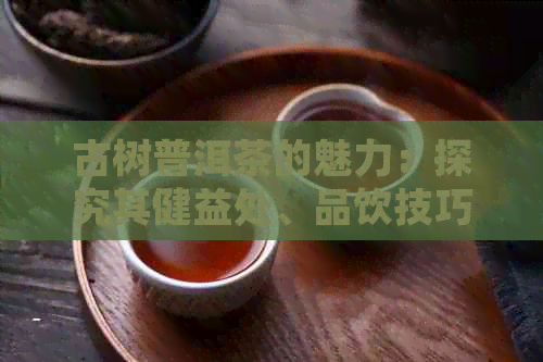 古树普洱茶的魅力：探究其健益处、品饮技巧与适合的人群