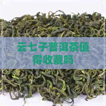 云七子普洱茶值得收藏吗