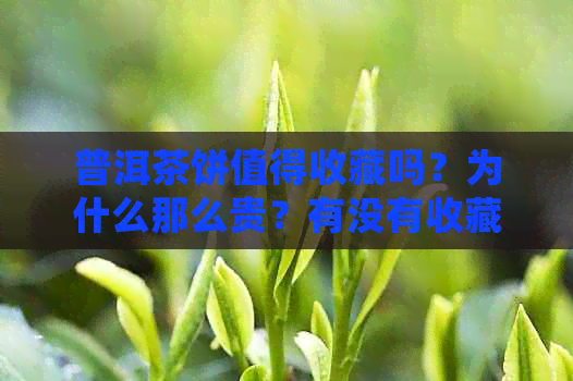 普洱茶饼值得收藏吗？为什么那么贵？有没有收藏价值？收藏价目表。