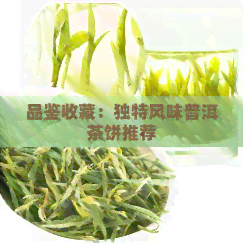 品鉴收藏：独特风味普洱茶饼推荐