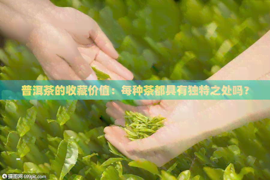 普洱茶的收藏价值：每种茶都具有独特之处吗？