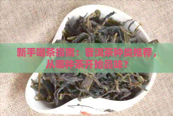 新手喝茶指南：普洱茶种类推荐，从哪种茶开始品味？