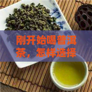 刚开始喝普洱茶，怎样选择合适的茶具？