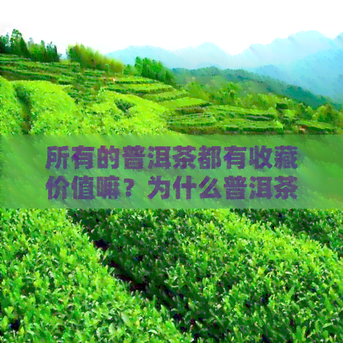 所有的普洱茶都有收藏价值嘛？为什么普洱茶具有收藏价值？