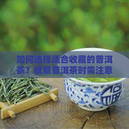 如何选择适合收藏的普洱茶？收藏普洱茶时需注意哪些因素？全面解答您的疑问