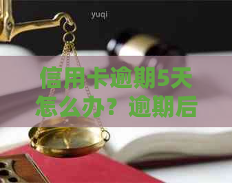 信用卡逾期5天怎么办？逾期后果、处理方法及补救措一网打尽！