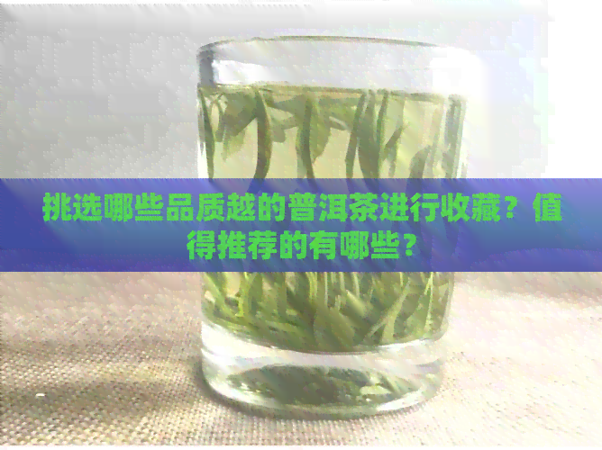 挑选哪些品质越的普洱茶进行收藏？值得推荐的有哪些？