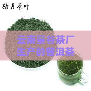 云南景谷茶厂生产的普洱茶品质如何？口感、香气、保存方法等全方位解析！