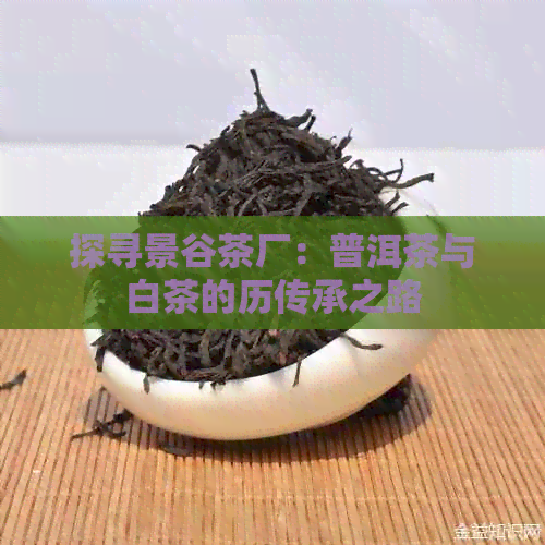 探寻景谷茶厂：普洱茶与白茶的历传承之路