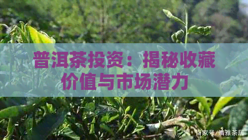 普洱茶投资：揭秘收藏价值与市场潜力