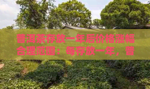 普洱茶存放一年后价格涨幅合理范围：每存放一年，普洱茶价格涨幅多少合适？