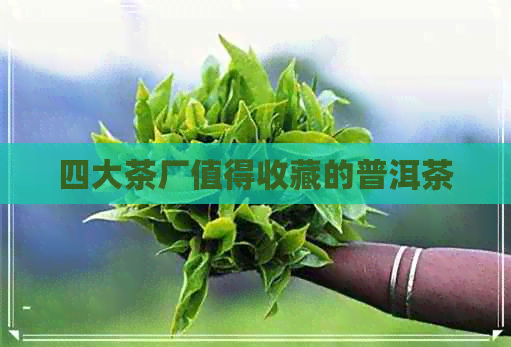 四大茶厂值得收藏的普洱茶