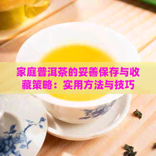 家庭普洱茶的妥善保存与收藏策略：实用方法与技巧