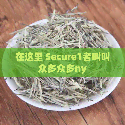 在这里 Secure1者叫叫众多众多ny