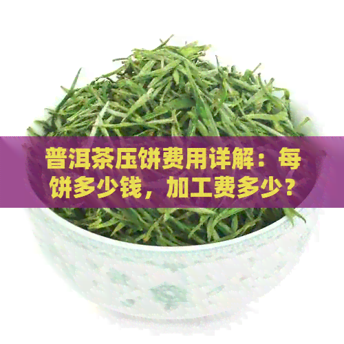 普洱茶压饼费用详解：每饼多少钱，加工费多少？