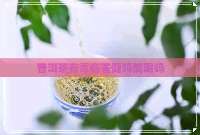 普洱茶有有害健吗能喝吗