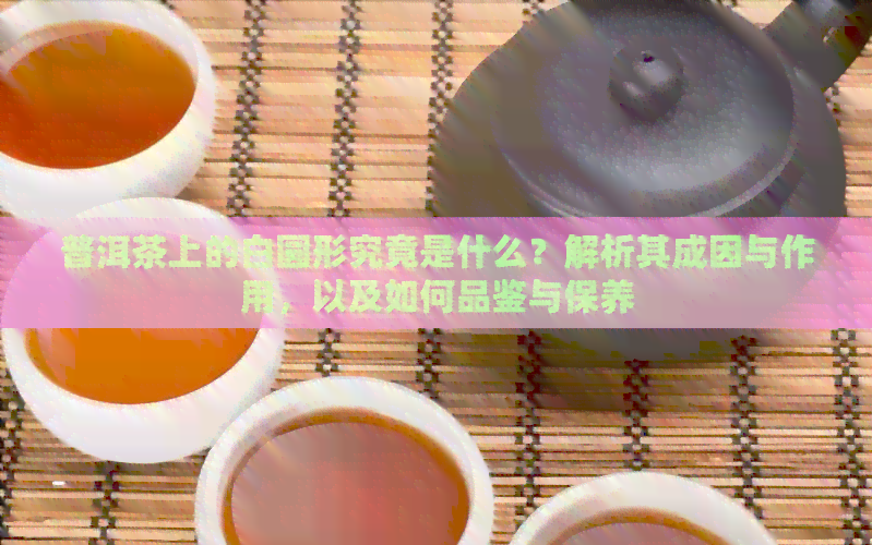 普洱茶上的白圆形究竟是什么？解析其成因与作用，以及如何品鉴与保养