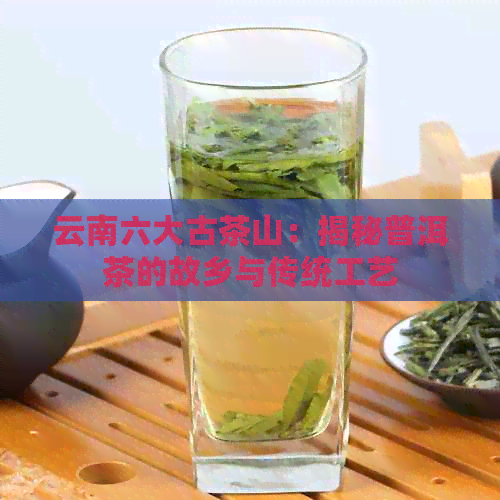 云南六大古茶山：揭秘普洱茶的故乡与传统工艺