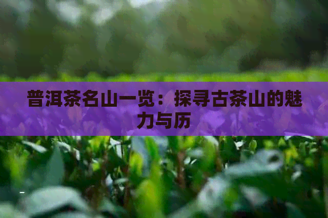 普洱茶名山一览：探寻古茶山的魅力与历