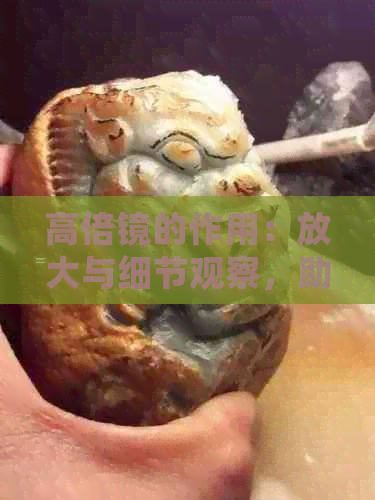 高倍镜的作用：放大与细节观察，助力科研与临床应用