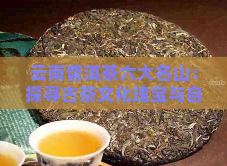 云南普洱茶六大名山：探寻古茶文化瑰宝与自然奇观