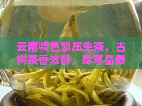 云南特色紧压生茶，古树茶香浓醇，尽享品质茶文化