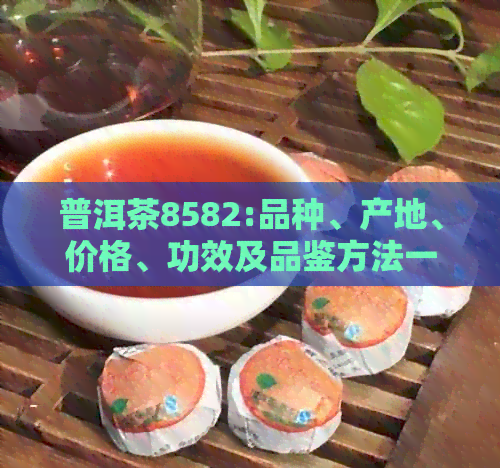 普洱茶8582:品种、产地、价格、功效及品鉴方法一应俱全的全面解析