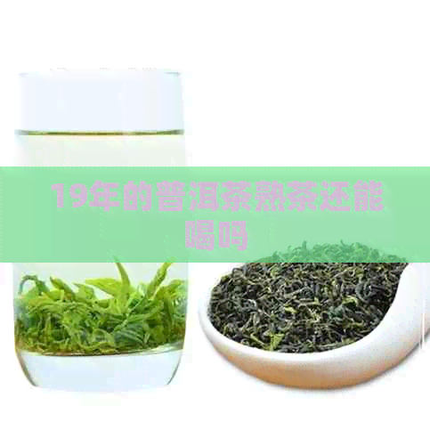 19年的普洱茶熟茶还能喝吗