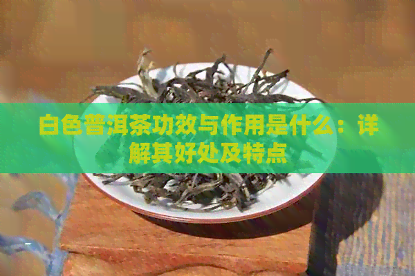 白色普洱茶功效与作用是什么：详解其好处及特点