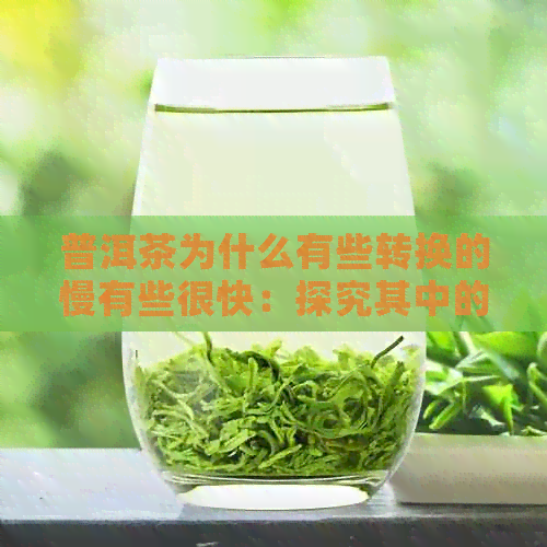 普洱茶为什么有些转换的慢有些很快：探究其中的原因