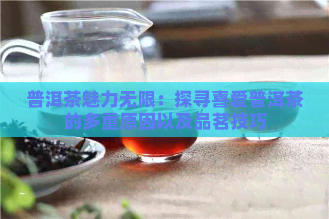 普洱茶魅力无限：探寻喜爱普洱茶的多重原因以及品茗技巧