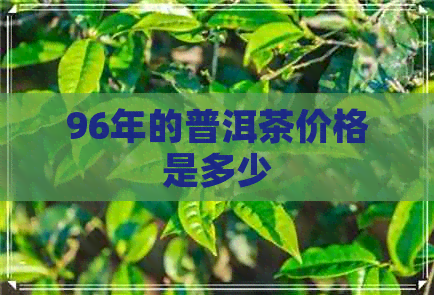 96年的普洱茶价格是多少