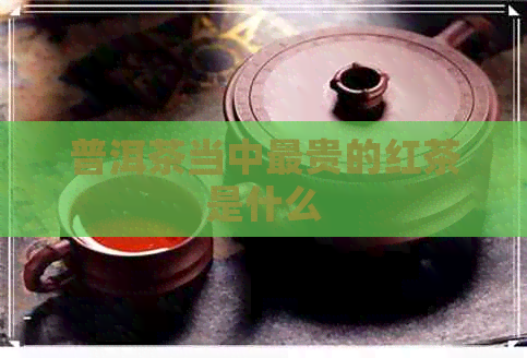 普洱茶当中最贵的红茶是什么