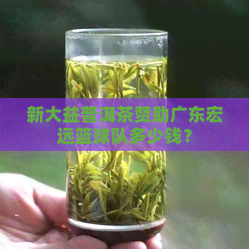 新大益普洱茶赞助广东宏远篮球队多少钱？